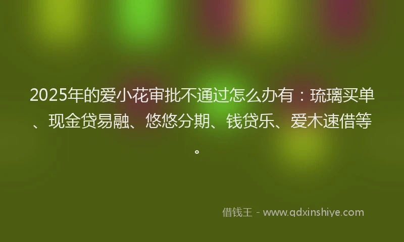 2025年的爱小花审批不通过怎么办有：琉璃买单、现金贷易融、悠悠分期、钱贷乐、爱木速借等。