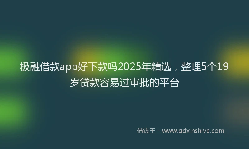 极融借款app好下款吗2025年精选，整理5个19岁贷款容易过审批的平台