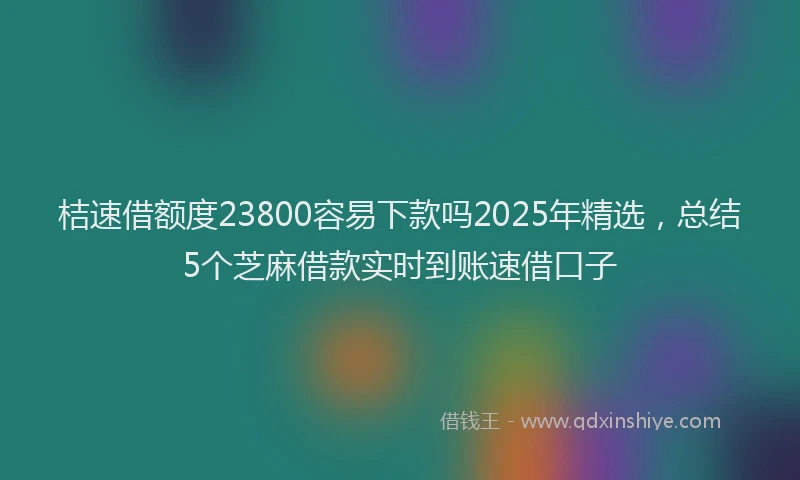 桔速借额度23800容易下款吗2025年精选，总结5个芝麻借款实时到账速借口子