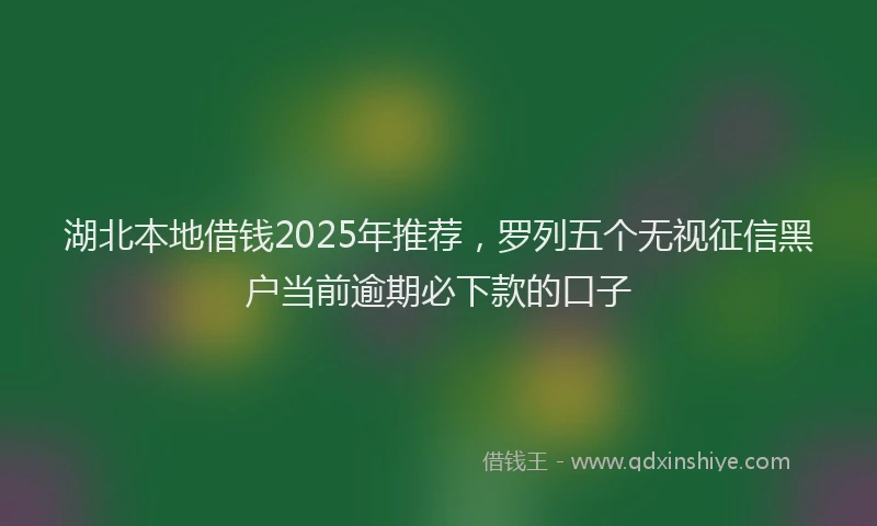 湖北本地借钱2025年推荐，罗列五个无视征信黑户当前逾期必下款的口子