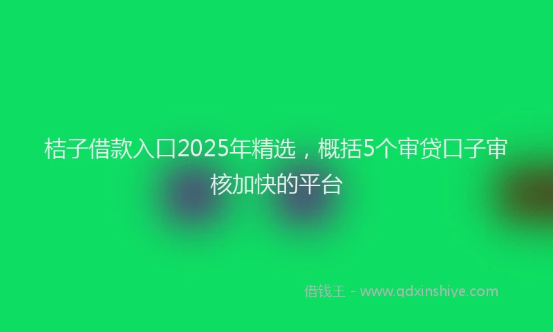 桔子借款入口2025年精选，概括5个审贷口子审核加快的平台
