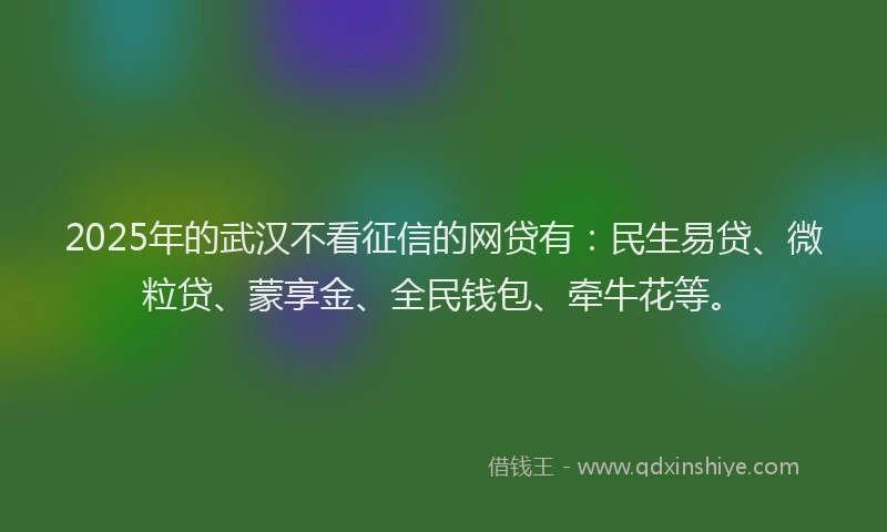2025年的武汉不看征信的网贷有：民生易贷、微粒贷、蒙享金、全民钱包、牵牛花等。
