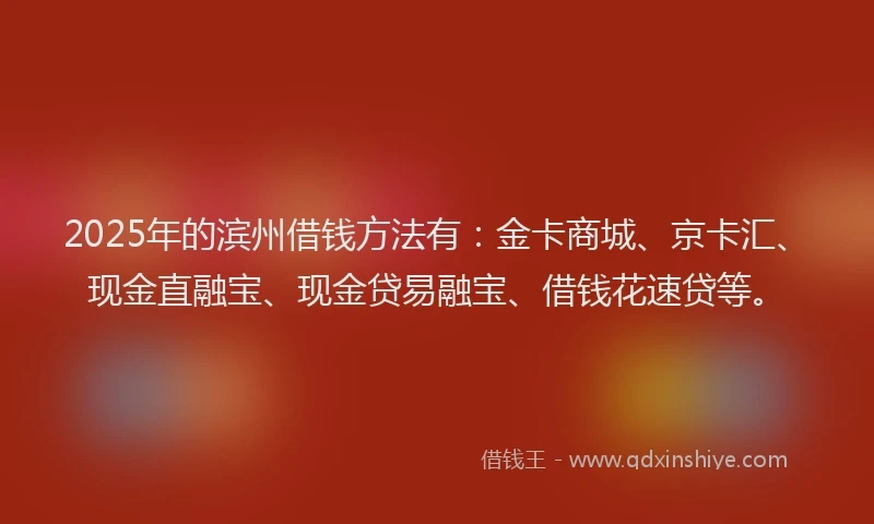 2025年的滨州借钱方法有：金卡商城、京卡汇、现金直融宝、现金贷易融宝、借钱花速贷等。