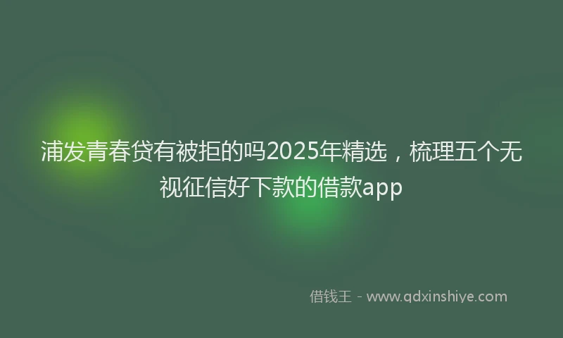 浦发青春贷有被拒的吗2025年精选，梳理五个无视征信好下款的借款app