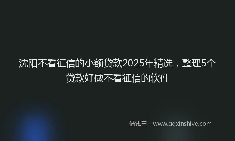 沈阳不看征信的小额贷款2025年精选，整理5个贷款好做不看征信的软件