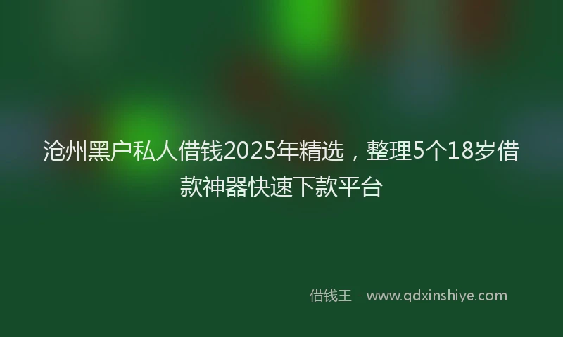 沧州黑户私人借钱2025年精选，整理5个18岁借款神器快速下款平台