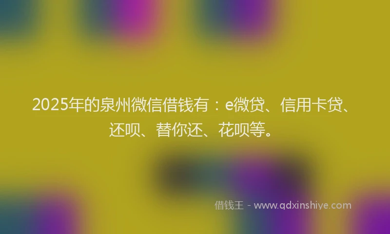 2025年的泉州微信借钱有：e微贷、信用卡贷、还呗、替你还、花呗等。