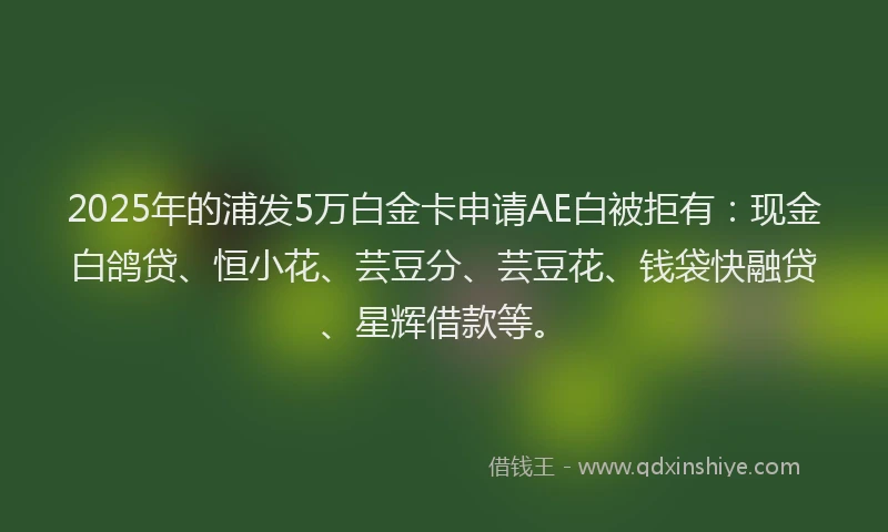 2025年的浦发5万白金卡申请AE白被拒有：现金白鸽贷、恒小花、芸豆分、芸豆花、钱袋快融贷、星辉借款等。