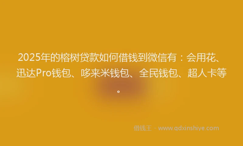 2025年的榕树贷款如何借钱到微信有：会用花、迅达Pro钱包、哆来米钱包、全民钱包、超人卡等。