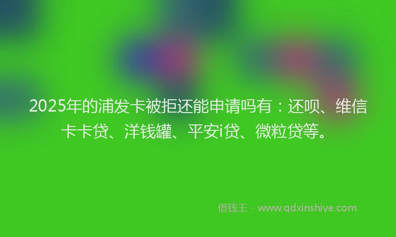 2025年的浦发卡被拒还能申请吗有：还呗、维信卡卡贷、洋钱罐、平安i贷、微粒贷等。