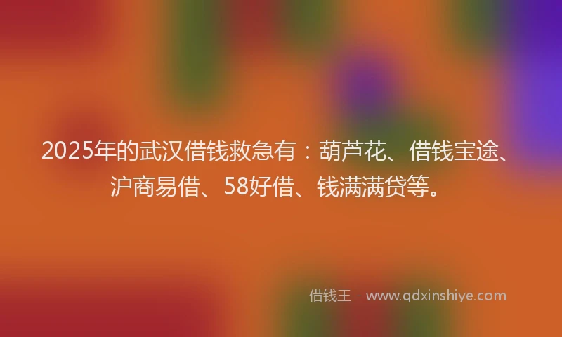 2025年的武汉借钱救急有：葫芦花、借钱宝途、沪商易借、58好借、钱满满贷等。