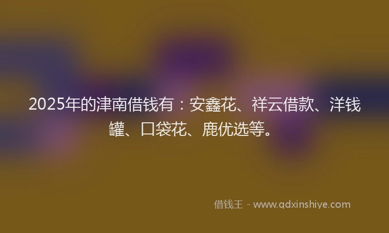 2025年的津南借钱有：安鑫花、祥云借款、洋钱罐、口袋花、鹿优选等。