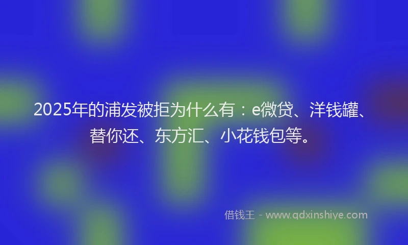 2025年的浦发被拒为什么有：e微贷、洋钱罐、替你还、东方汇、小花钱包等。