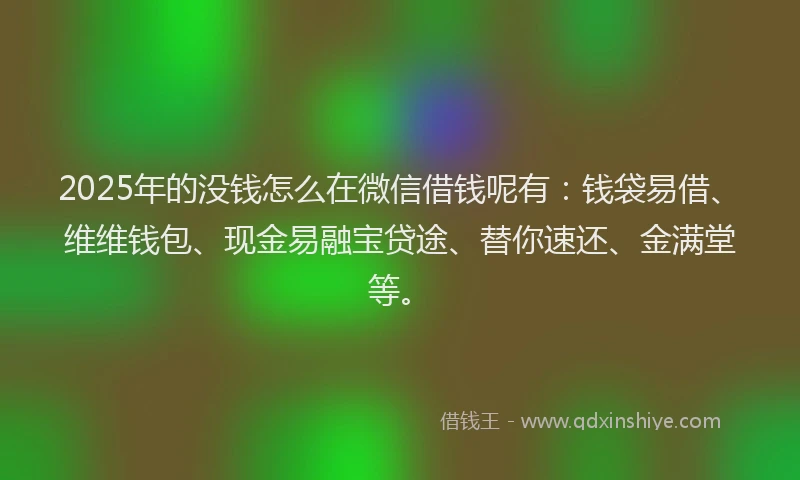 2025年的没钱怎么在微信借钱呢有：钱袋易借、维维钱包、现金易融宝贷途、替你速还、金满堂等。