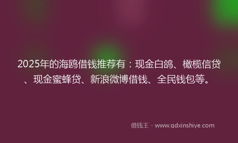 2025年的海鸥借钱推荐有：现金白鸽、橄榄信贷、现金蜜蜂贷、新浪微博借钱、全民钱包等。