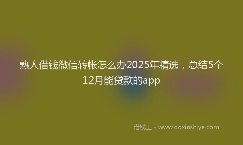熟人借钱微信转帐怎么办2025年精选，总结5个12月能贷款的app