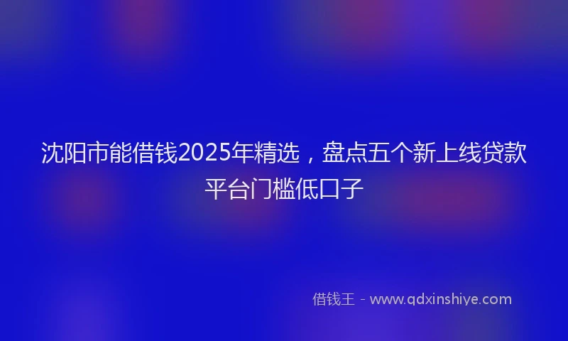 沈阳市能借钱2025年精选，盘点五个新上线贷款平台门槛低口子