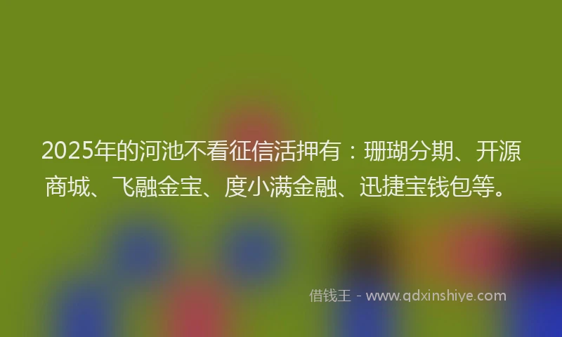 2025年的河池不看征信活押有：珊瑚分期、开源商城、飞融金宝、度小满金融、迅捷宝钱包等。