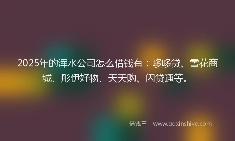 2025年的浑水公司怎么借钱有：哆哆贷、雪花商城、彤伊好物、天天购、闪贷通等。