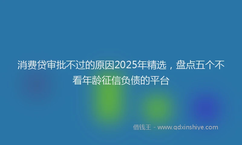消费贷审批不过的原因2025年精选，盘点五个不看年龄征信负债的平台