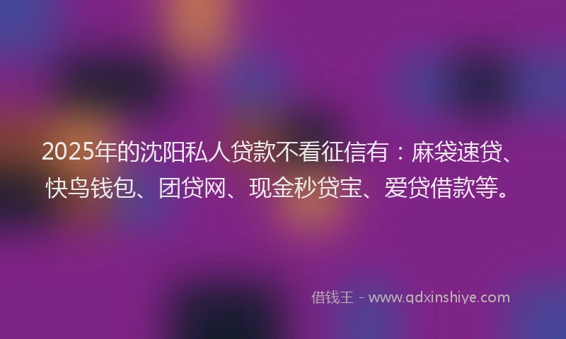 2025年的沈阳私人贷款不看征信有：麻袋速贷、快鸟钱包、团贷网、现金秒贷宝、爱贷借款等。