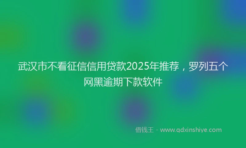 武汉市不看征信信用贷款2025年推荐，罗列五个网黑逾期下款软件