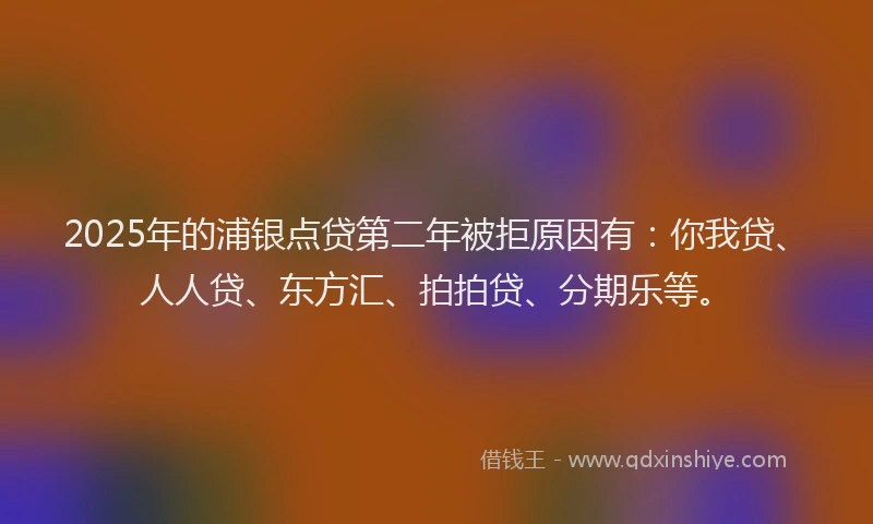 2025年的浦银点贷第二年被拒原因有：你我贷、人人贷、东方汇、拍拍贷、分期乐等。