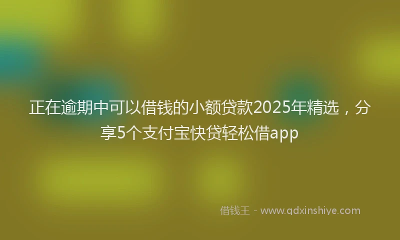 正在逾期中可以借钱的小额贷款2025年精选，分享5个支付宝快贷轻松借app