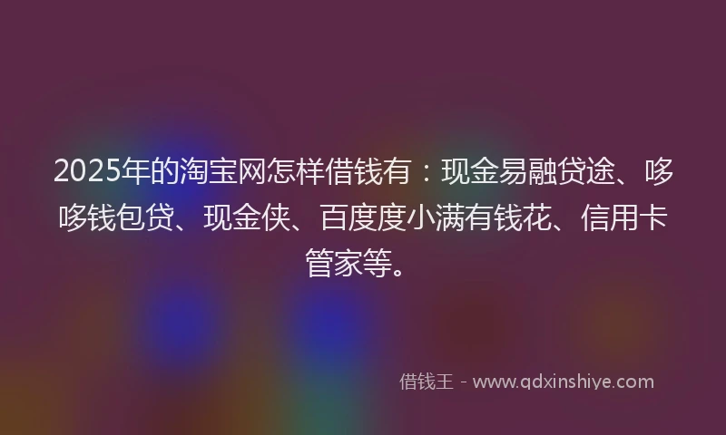 2025年的淘宝网怎样借钱有：现金易融贷途、哆哆钱包贷、现金侠、百度度小满有钱花、信用卡管家等。