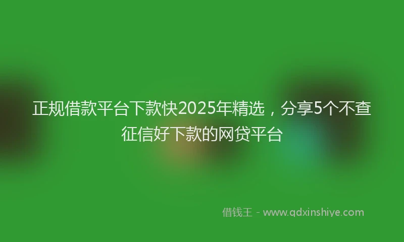 正规借款平台下款快2025年精选，分享5个不查征信好下款的网贷平台