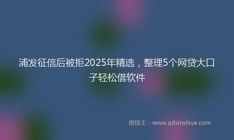 浦发征信后被拒2025年精选，整理5个网贷大口子轻松借软件
