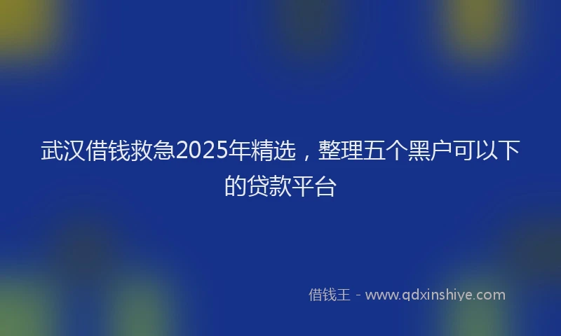 武汉借钱救急2025年精选，整理五个黑户可以下的贷款平台