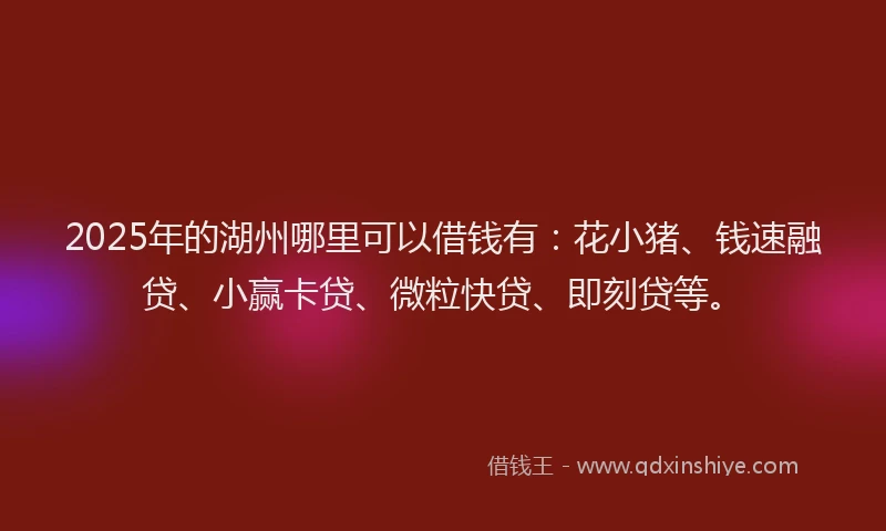 2025年的湖州哪里可以借钱有：花小猪、钱速融贷、小赢卡贷、微粒快贷、即刻贷等。