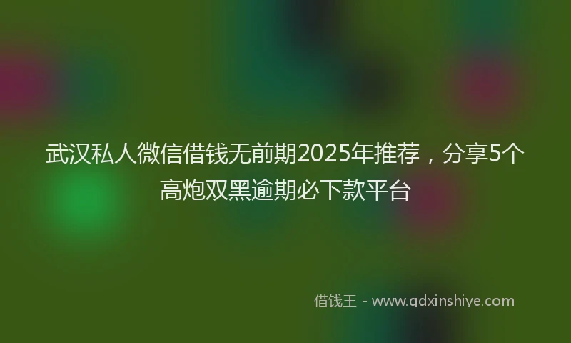 武汉私人微信借钱无前期2025年推荐，分享5个高炮双黑逾期必下款平台