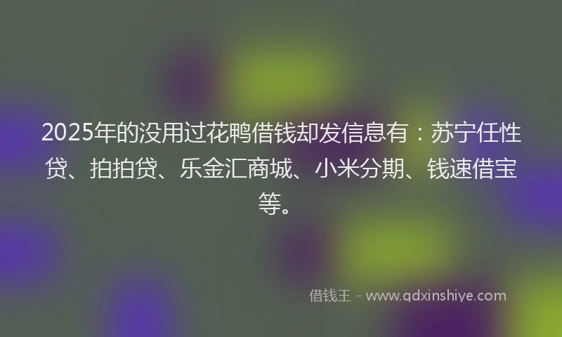 2025年的没用过花鸭借钱却发信息有：苏宁任性贷、拍拍贷、乐金汇商城、小米分期、钱速借宝等。