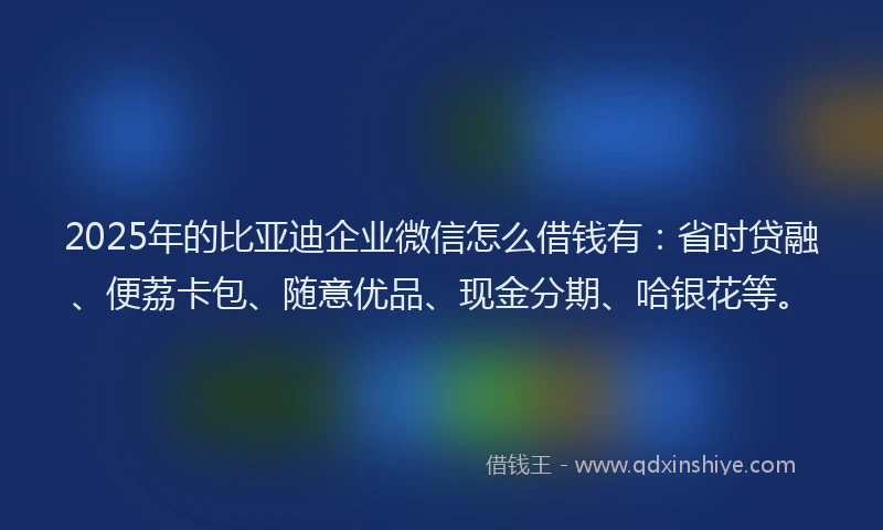 2025年的比亚迪企业微信怎么借钱有：省时贷融、便荔卡包、随意优品、现金分期、哈银花等。