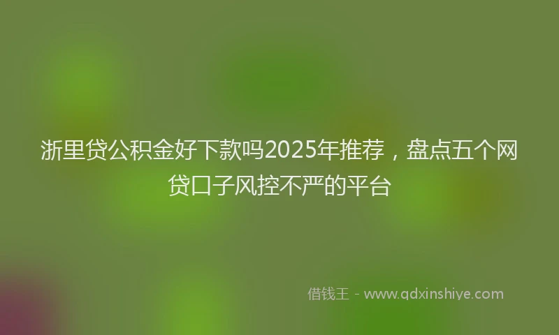 浙里贷公积金好下款吗2025年推荐，盘点五个网贷口子风控不严的平台