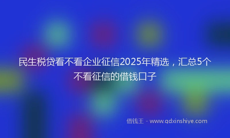 民生税贷看不看企业征信2025年精选，汇总5个不看征信的借钱口子