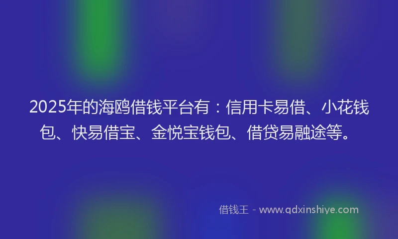 2025年的海鸥借钱平台有：信用卡易借、小花钱包、快易借宝、金悦宝钱包、借贷易融途等。