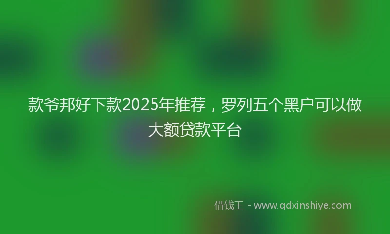 款爷邦好下款2025年推荐，罗列五个黑户可以做大额贷款平台