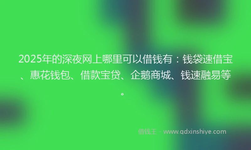 2025年的深夜网上哪里可以借钱有：钱袋速借宝、惠花钱包、借款宝贷、企鹅商城、钱速融易等。
