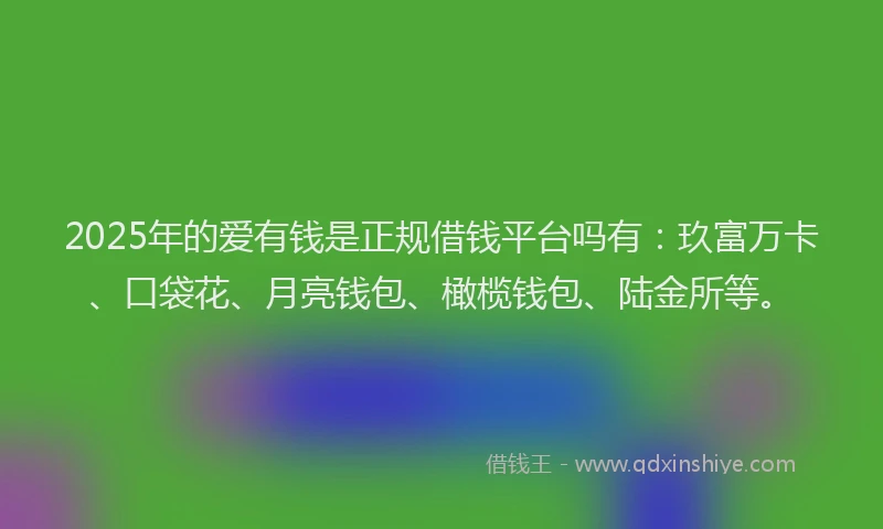 2025年的爱有钱是正规借钱平台吗有：玖富万卡、口袋花、月亮钱包、橄榄钱包、陆金所等。