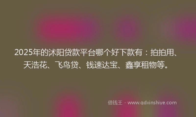 2025年的沭阳贷款平台哪个好下款有：拍拍用、天浩花、飞鸟贷、钱速达宝、鑫享租物等。