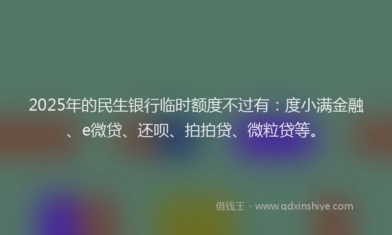 2025年的民生银行临时额度不过有：度小满金融、e微贷、还呗、拍拍贷、微粒贷等。