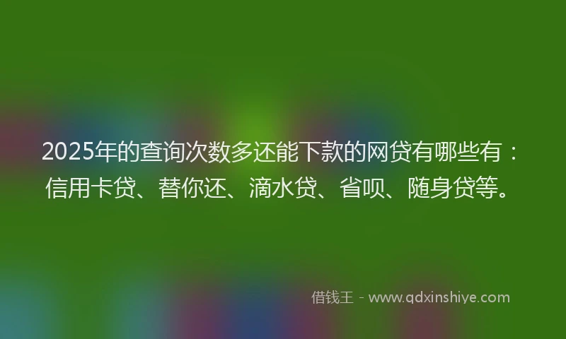 2025年的查询次数多还能下款的网贷有哪些有：信用卡贷、替你还、滴水贷、省呗、随身贷等。