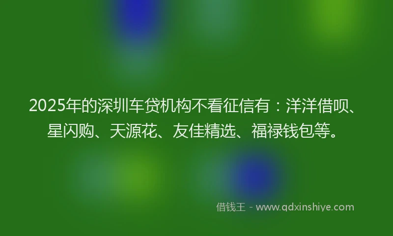 2025年的深圳车贷机构不看征信有：洋洋借呗、星闪购、天源花、友佳精选、福禄钱包等。