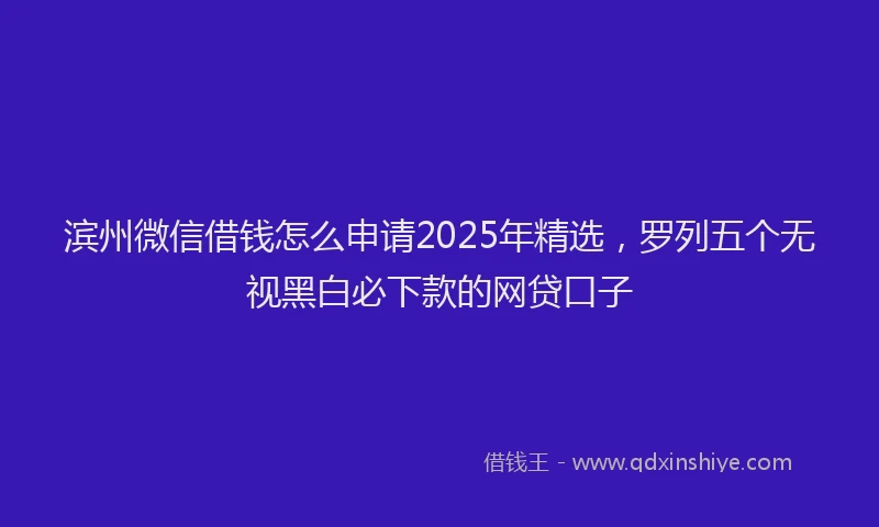 滨州微信借钱怎么申请2025年精选，罗列五个无视黑白必下款的网贷口子