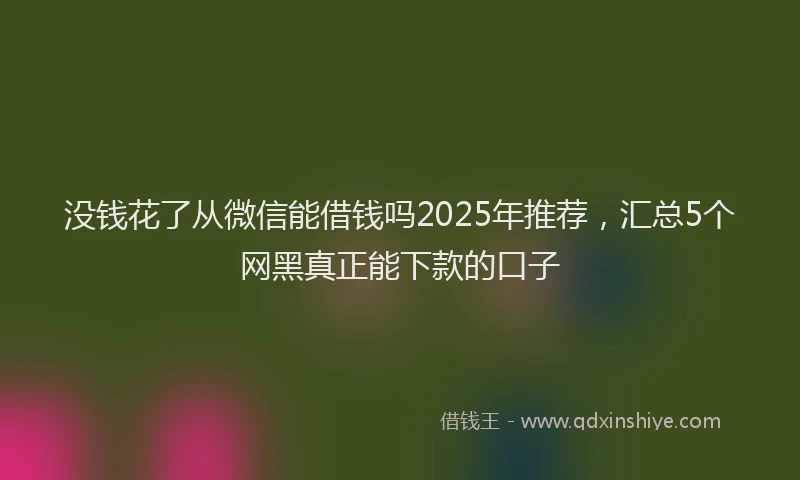 没钱花了从微信能借钱吗2025年推荐，汇总5个网黑真正能下款的口子