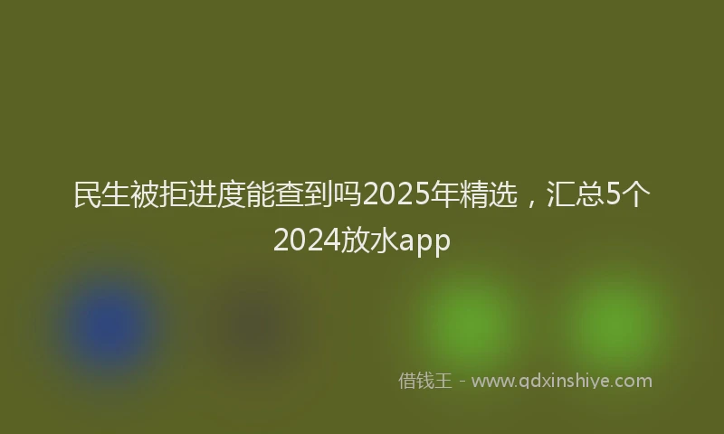 民生被拒进度能查到吗2025年精选，汇总5个2024放水app