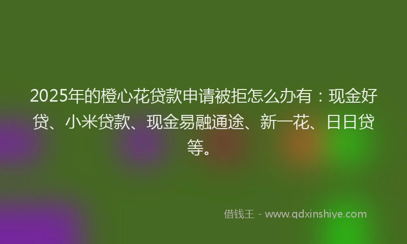 2025年的橙心花贷款申请被拒怎么办有：现金好贷、小米贷款、现金易融通途、新一花、日日贷等。